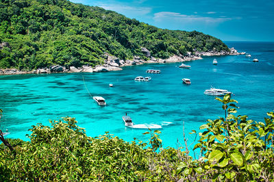 Scenic view of bay against clear sky