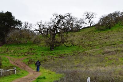 Man standing on grassy field