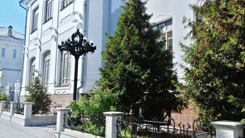 Street by trees and buildings in city