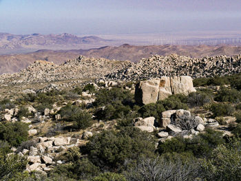 Scenic view of desert against sky