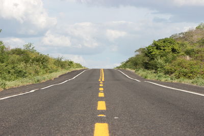 Empty road along trees