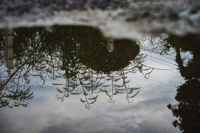 Reflection of tree in lake against sky