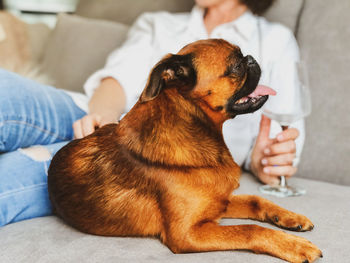 Midsection of man with dog sitting at home