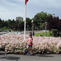 Woman standing by flowering plants against sky