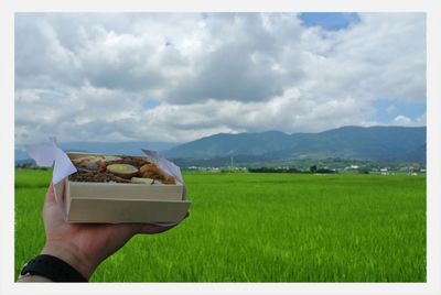 Scenic view of field against cloudy sky