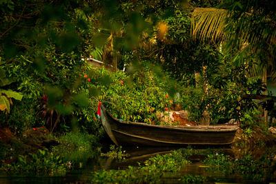 Scenic view of lake amidst trees