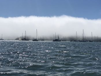 Sailboats in sea against sky