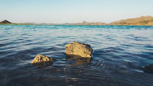 Scenic view of sea against clear sky