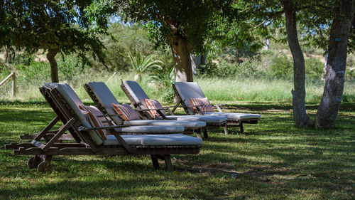 Empty chairs in park