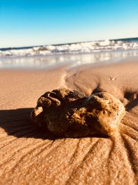 Surface level of sand on beach against sky