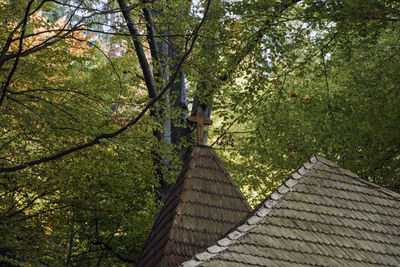 Low angle view of roof and trees in forest