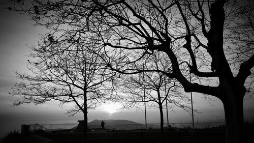 Bare trees against sky at sunset