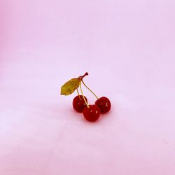 Close-up of red berries on table