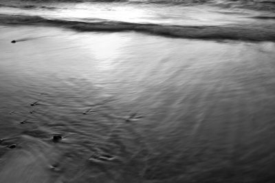 High angle view of ducks swimming in sea