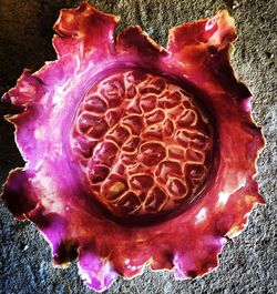 Close-up of red rose