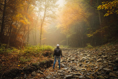 Rear view of man walking in forest