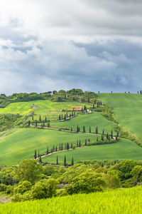 Scenic view of landscape against cloudy sky