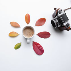 Directly above shot of breakfast against white background