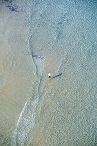 Aerial view of sand