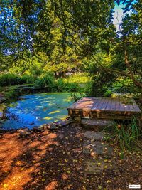 High angle view of lake amidst trees in forest