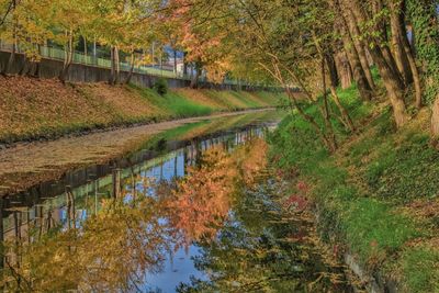 Reflection of trees in lake during autumn