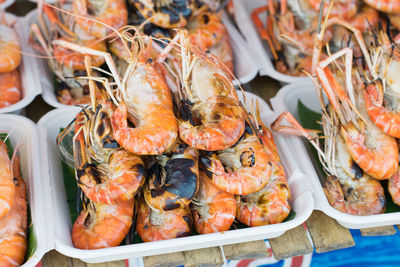 High angle view of fish for sale in market