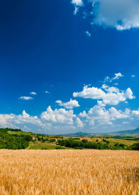 Scenic view of agricultural field against blue sky