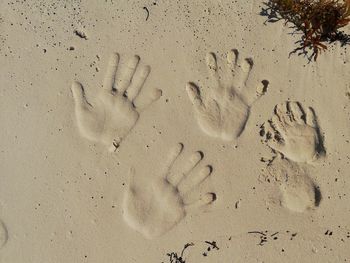 High angle view of footprints on sand