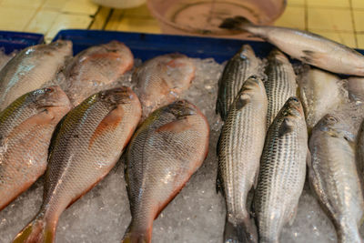 High angle view of fish for sale in market