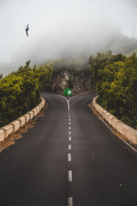 Road by trees against sky