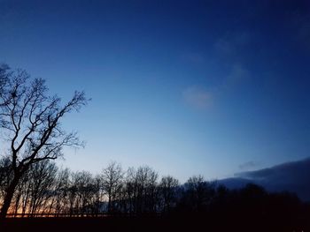 Low angle view of silhouette trees against blue sky