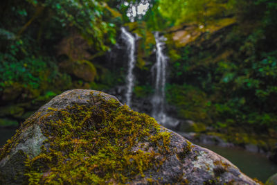 Close-up of waterfall in forest