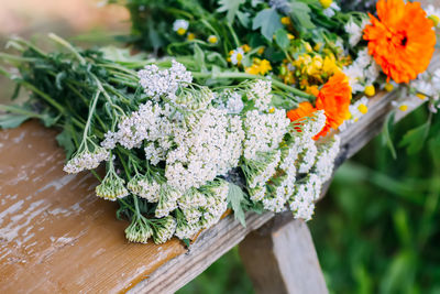 Medicinal herbs. bright summer flowers.