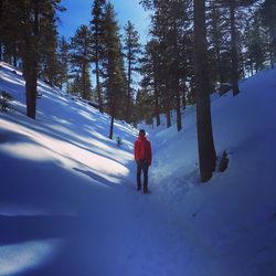 People walking on snow covered landscape