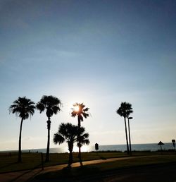 Silhouette palm trees against sea