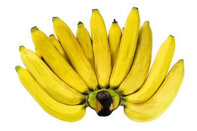 High angle view of yellow flower against white background