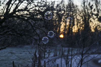 High angle view of bubbles against trees during winter