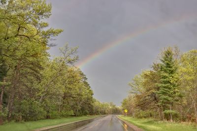 Scenic view of rainbow over trees against sky