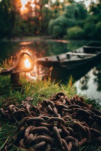 Close-up of fire on land