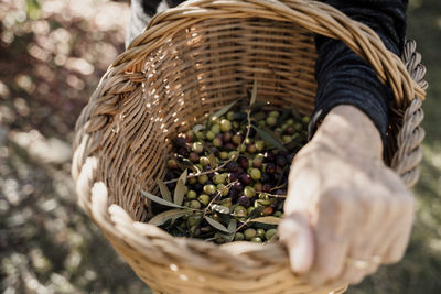 Senior woman holding olive basket in back yard