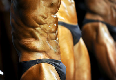 Close-up of shirtless muscular males