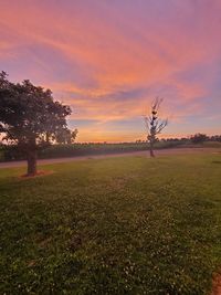 Scenic view of field against sky during sunset