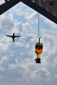 Low angle view of bird flying against sky