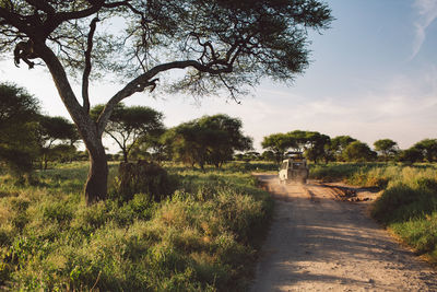 Footpath amidst trees on field against sky