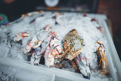 High angle view of fish for sale in market