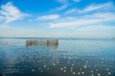 Scenic view of sea against blue sky