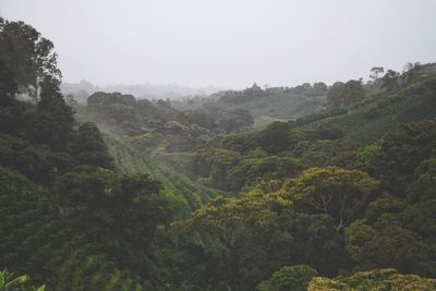 Scenic view of trees and mountains against sky