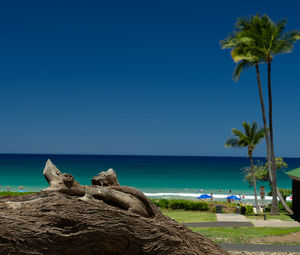 Scenic view of sea against clear blue sky