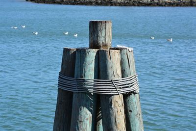 Rope tied to wooden post in sea