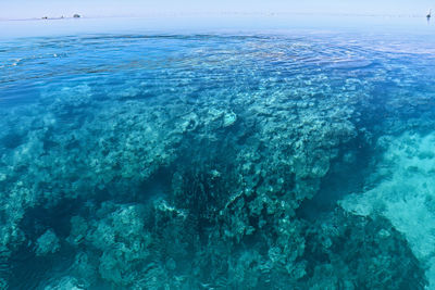 Aerial view of sea